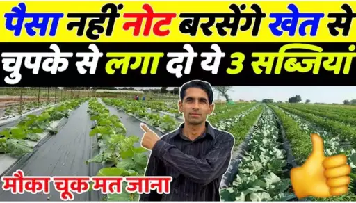 खेत से बारिश